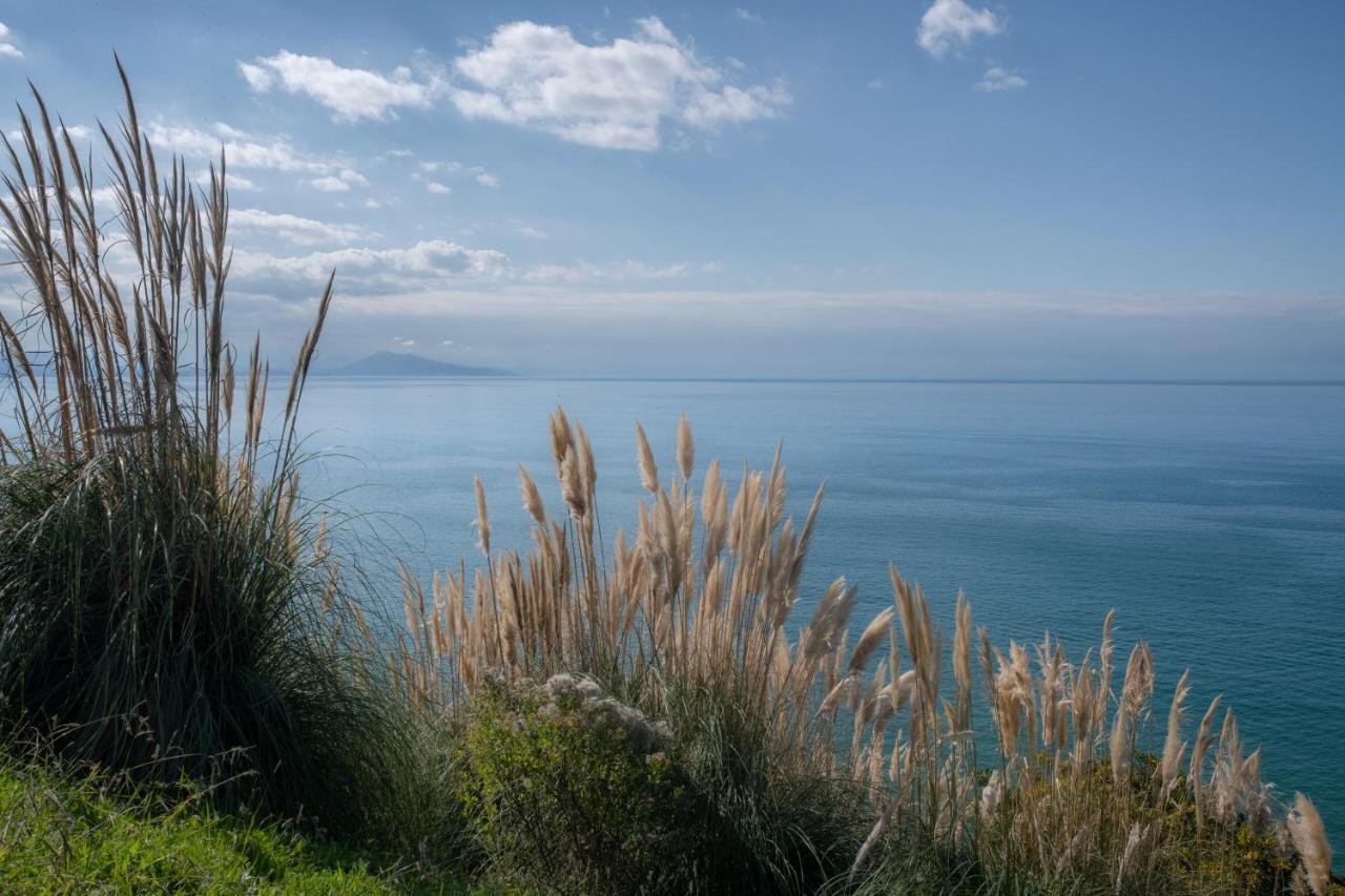 Studio Design - Proche Plage Biarritz Kültér fotó